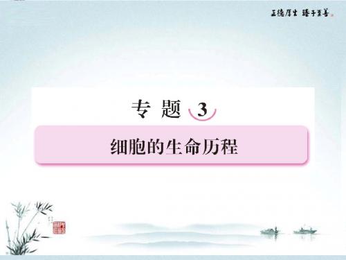 【冲刺高考】2013届高三生物二轮专项复习 专题三 第1讲 细胞增殖与受精作用课件 新人教版