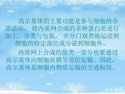 2021推荐高尔基体的功能