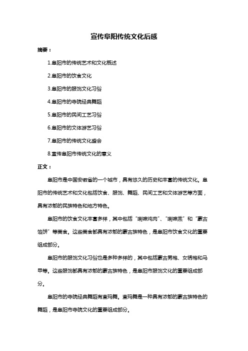 宣传阜阳传统文化后感