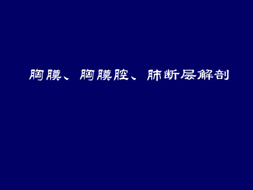 2.胸膜胸膜腔肺断层解剖