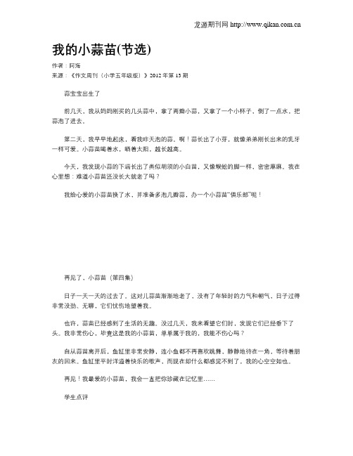 我的小蒜苗(节选)