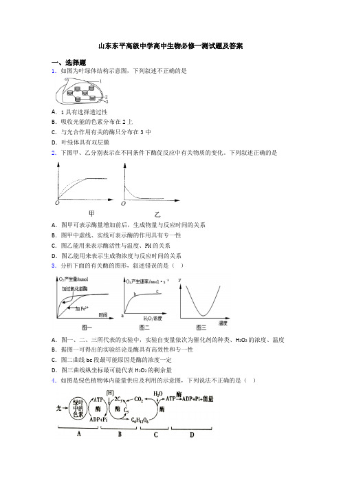 山东东平高级中学高中生物必修一测试题及答案
