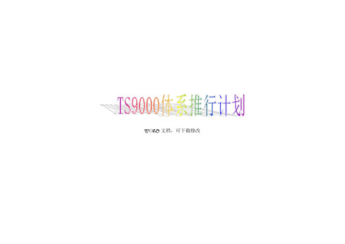 体系推行计划