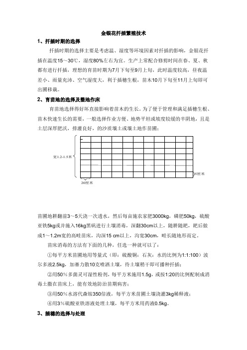 经典的金银花扦插繁殖技术