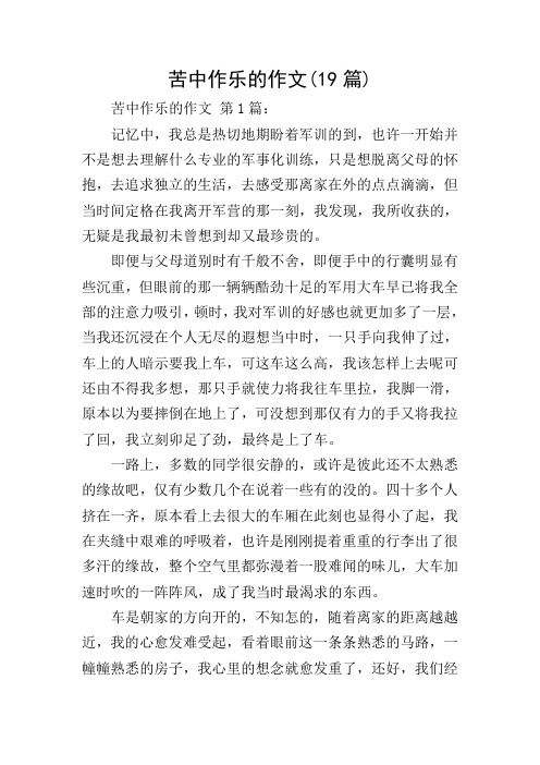 苦中作乐的作文(19篇)