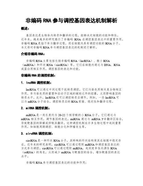 非编码RNA参与调控基因表达机制解析