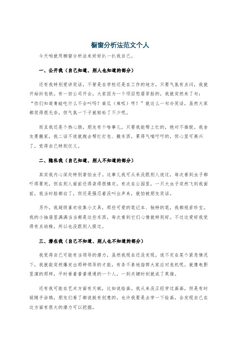 橱窗分析法范文个人