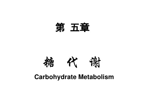 《生物化学》教学课件：第五章  糖代谢