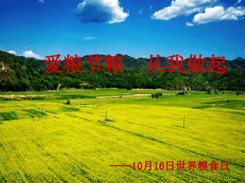 世界粮食日主题班会演示幻灯片