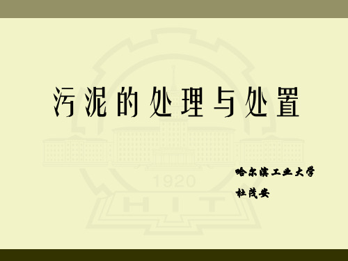 污泥的处理与处置