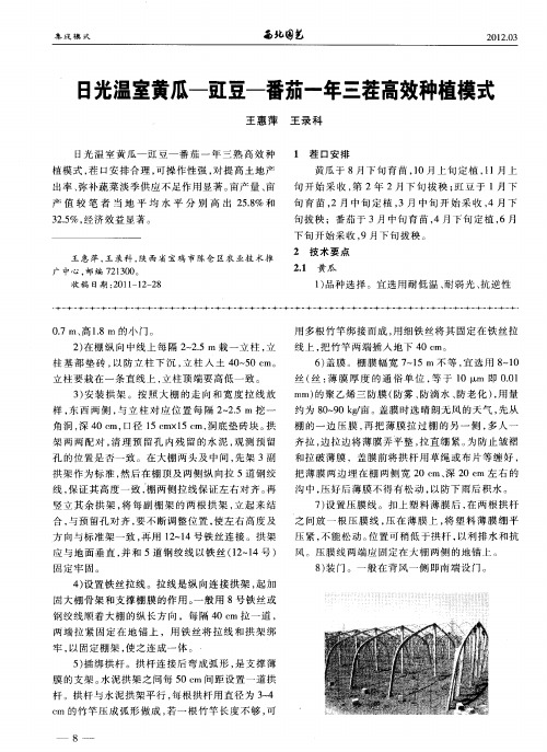 日光温室黄瓜-豇豆-番茄-年三茬高效种植模式