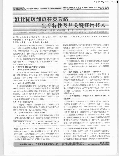 淮北稻区超高茬麦套稻生育特性及其关键栽培技术