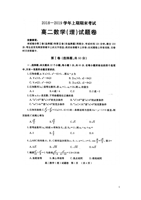 2018-2019学年河南省信阳市高二上学期期末考试数学(理)试题 扫描版