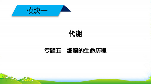 高考生物大二轮复习课件：专题五 细胞的生命历程