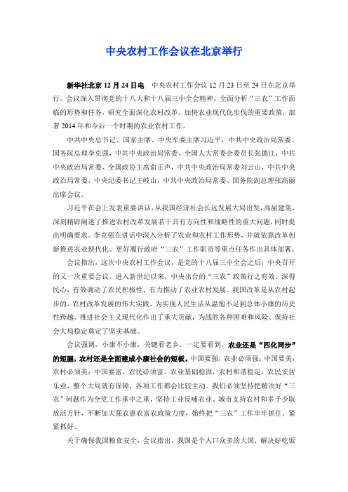 2013中央农村工作会议在北京举行