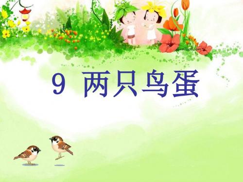 《两只鸟蛋》PPT课件7