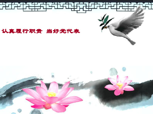 党代表履职培训 PPT课件