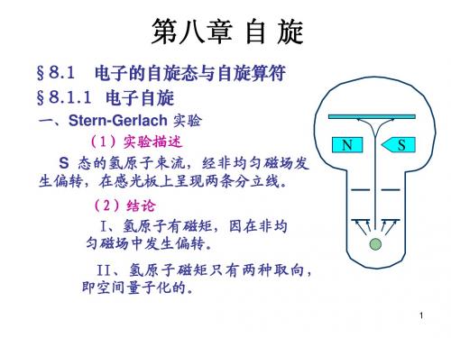 第八章 自旋