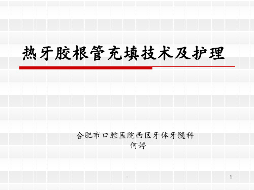 热牙胶充填术技能培训PPT课件