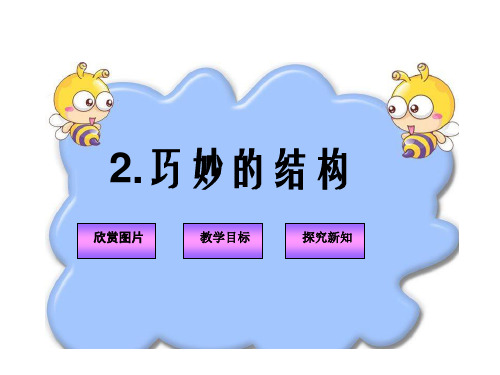 《巧妙的结构》PPT课件(冀教版六年级下册科学课件)
