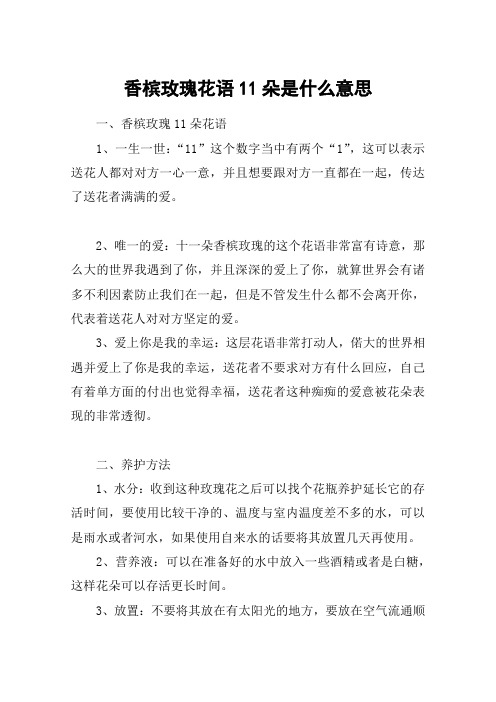 香槟玫瑰花语11朵是什么意思