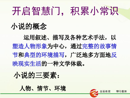 13鲁提辖拳打镇关西课时2(34张)PPT课件