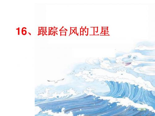 16、跟踪台风的卫星课件