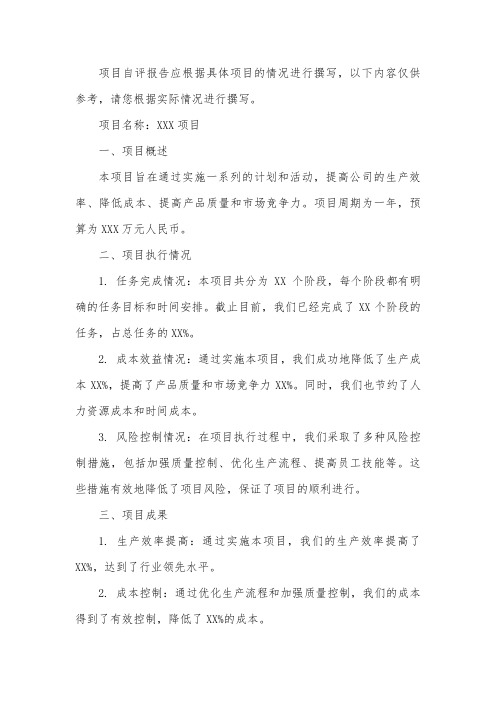 项目自评报告、