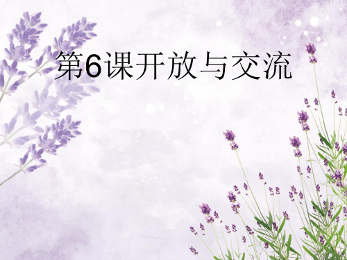 开放与交流PPT教学课件