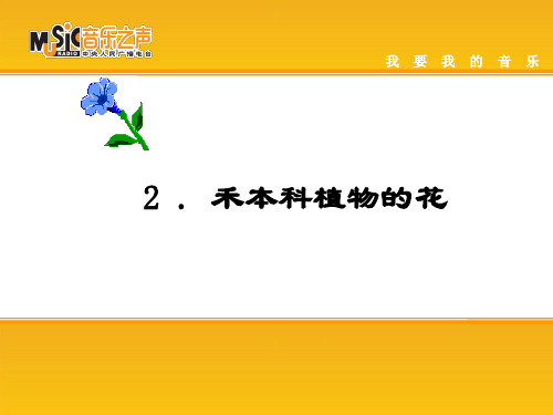 禾本科植物的花