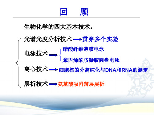 生物化学实验7.氨基酸薄层层析