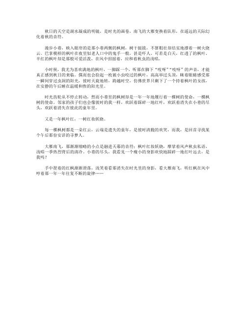 高分作文范文-又是一年枫红时