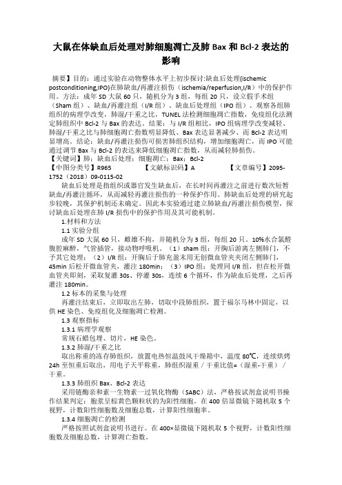 大鼠在体缺血后处理对肺细胞凋亡及肺Bax和Bcl-2表达的影响