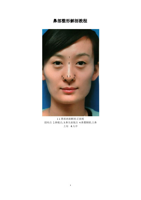 鼻部整形解剖教程