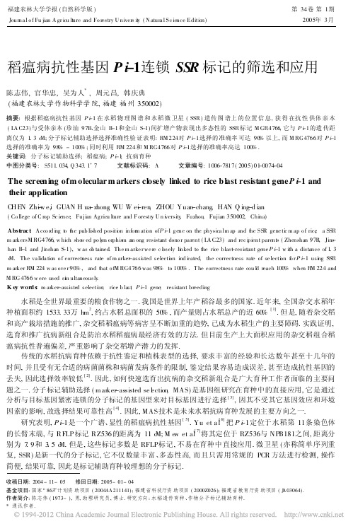 稻瘟病抗性基因Pi_1连锁SSR标记的筛选和应用_陈志伟