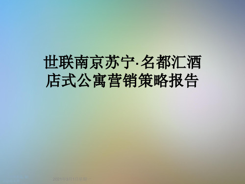 世联南京苏宁·名都汇酒店式公寓营销策略报告