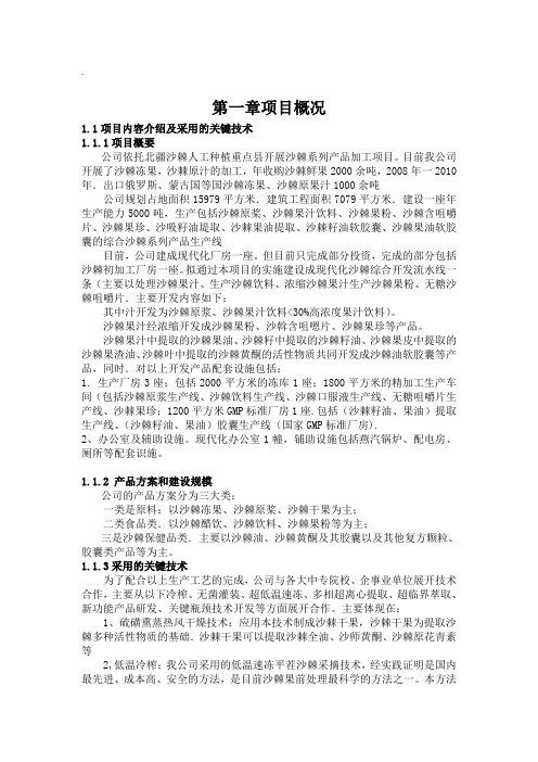 沙棘可行性研究报告.doc