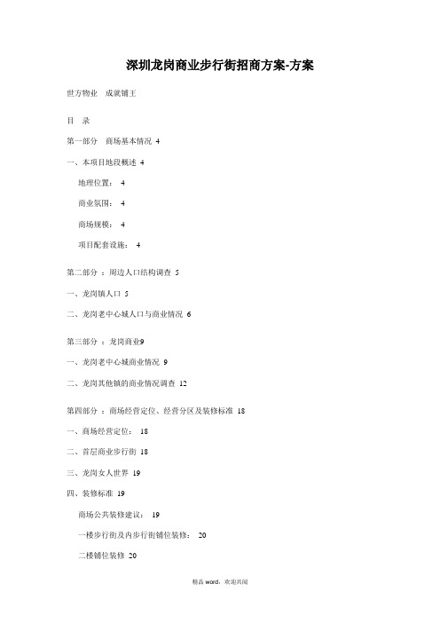 深圳龙岗商业步行街招商引资书-书