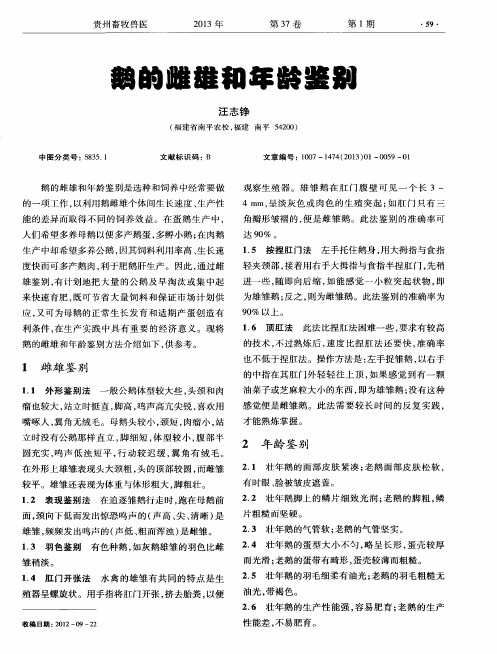 鹅的雌雄和年龄鉴别
