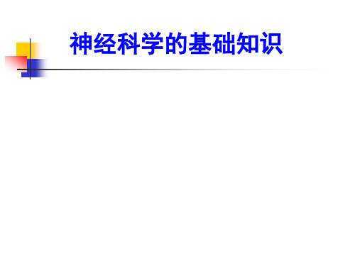 康复医学：10 神经科学的基础知识