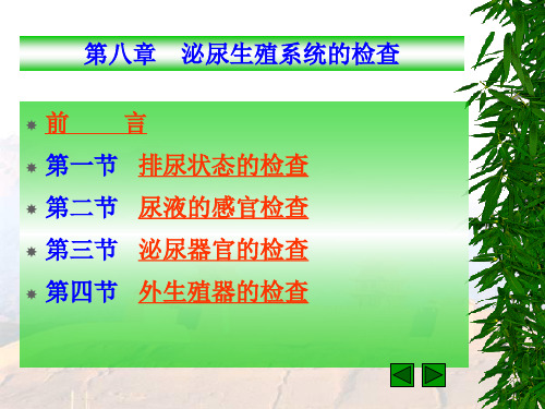 07-04级本科兽医临床诊断学--泌尿生殖系统的检查