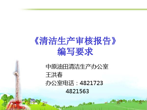 2《清洁生产审核报告》编写要求及案例