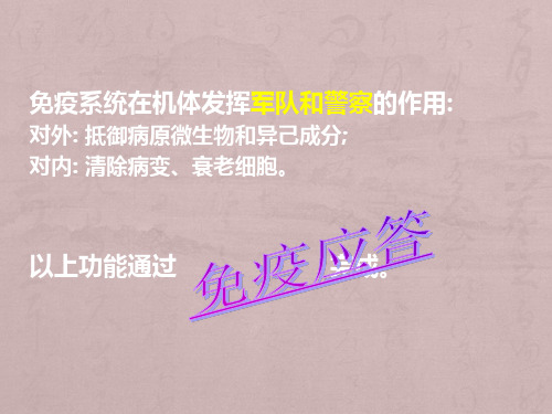 T淋巴细胞对抗原的识别及免疫应答