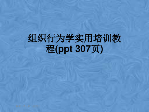 组织行为学实用培训教程(ppt 307页)