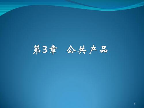 第3章 公共产品