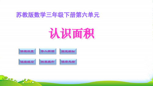 苏教版三年级下册数学课件6.1认识面积 (共16张PPT)