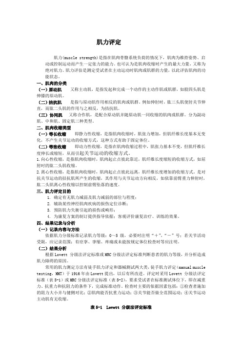 肌力评定