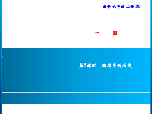 北师大版六年级上册数学习题课件- 圆一 第5课时 圆周率的历史