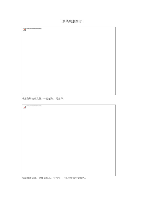 油菜缺素图谱
