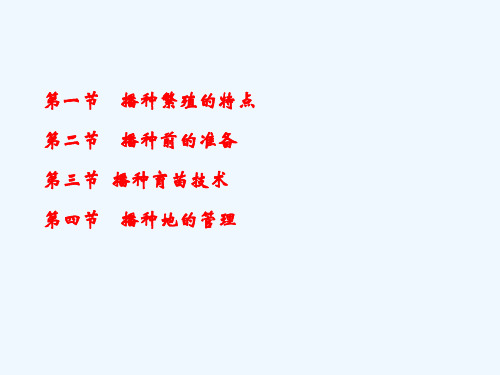 播种繁殖
